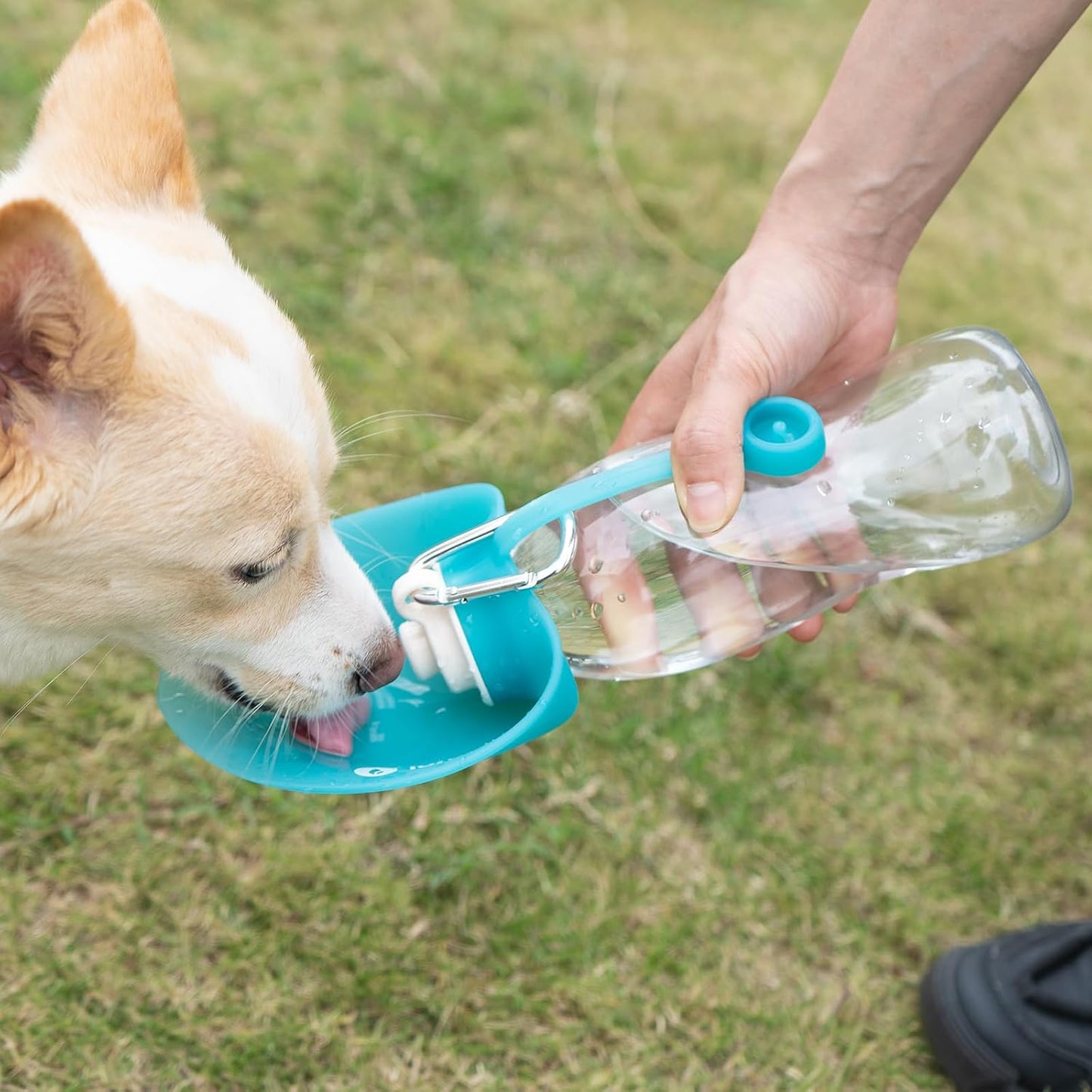 LumoLeaf portable pet water dispenser folded for compact travel storage