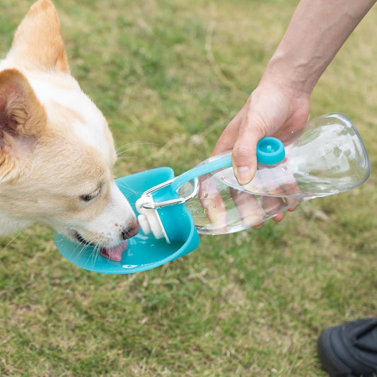 LumoLeaf portable pet water dispenser folded for compact travel storage