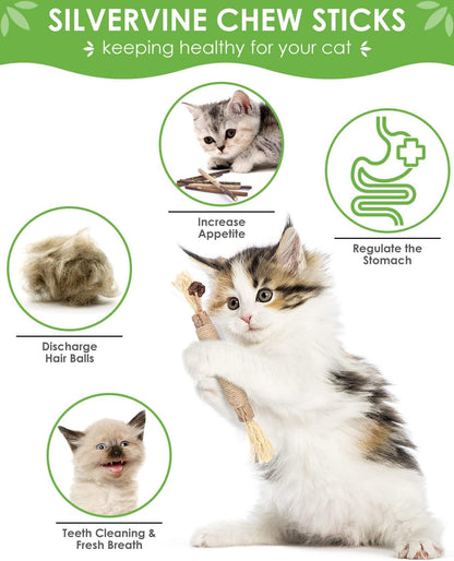 Natural matatabi silvervine sticks for cat dental care