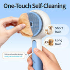 Demonstration of one-touch self cleaning button on steam brush