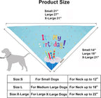 ADOGGYGO large blue pet celebration kit components spread out clearly