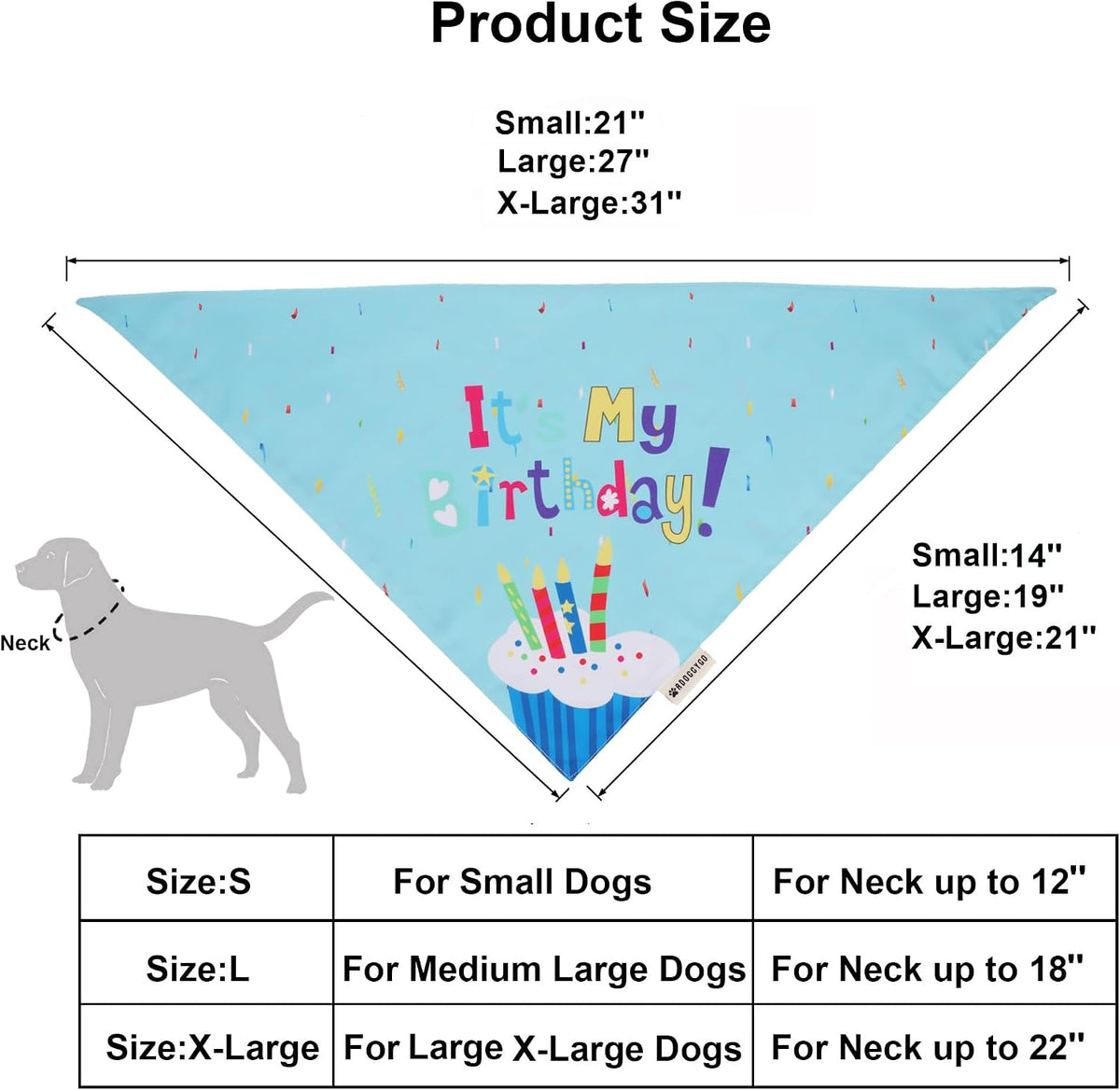 ADOGGYGO large blue pet celebration kit components spread out clearly