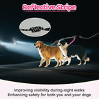 Two in one multi functional dog leash used as a car seatbelt.