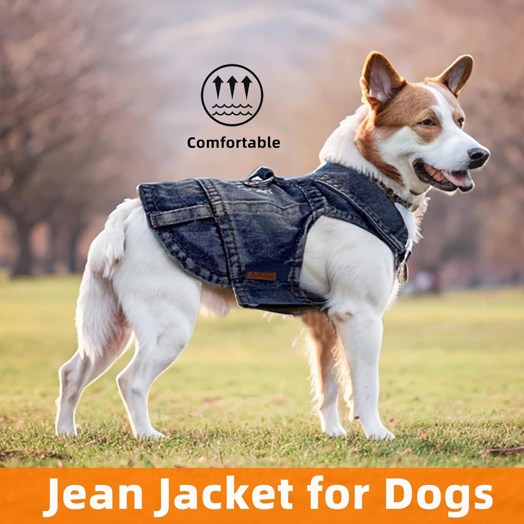 Side view of a cat wearing the lightweight JcDuDoi denim vest demonstrating complete freedom of movement.