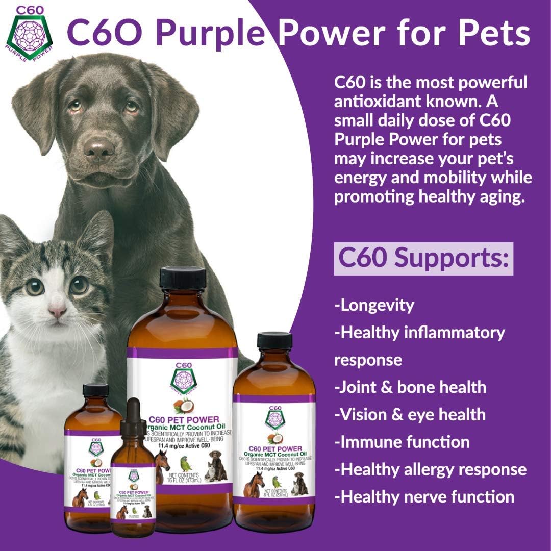 C60 Purple Power antioxidant oil for dogs and cats