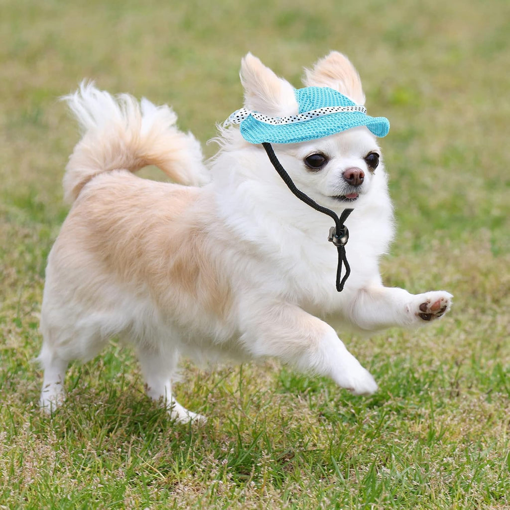 Small dog wearing a breathable mesh pet sun hat