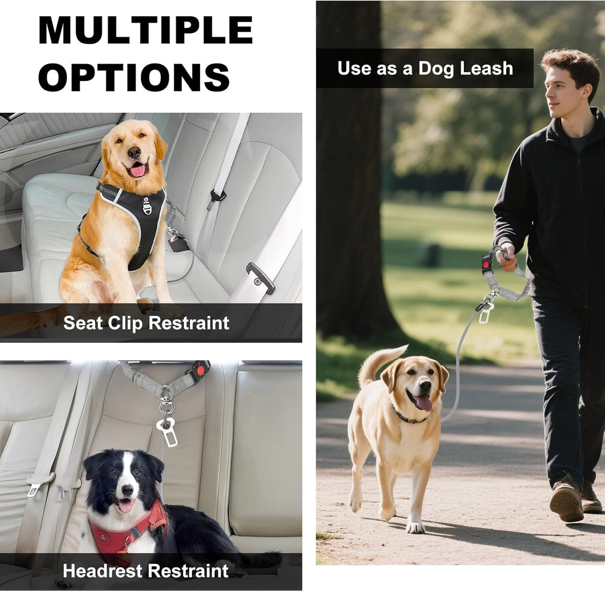 Top view of Giiyoe stainless steel braided dog car leash