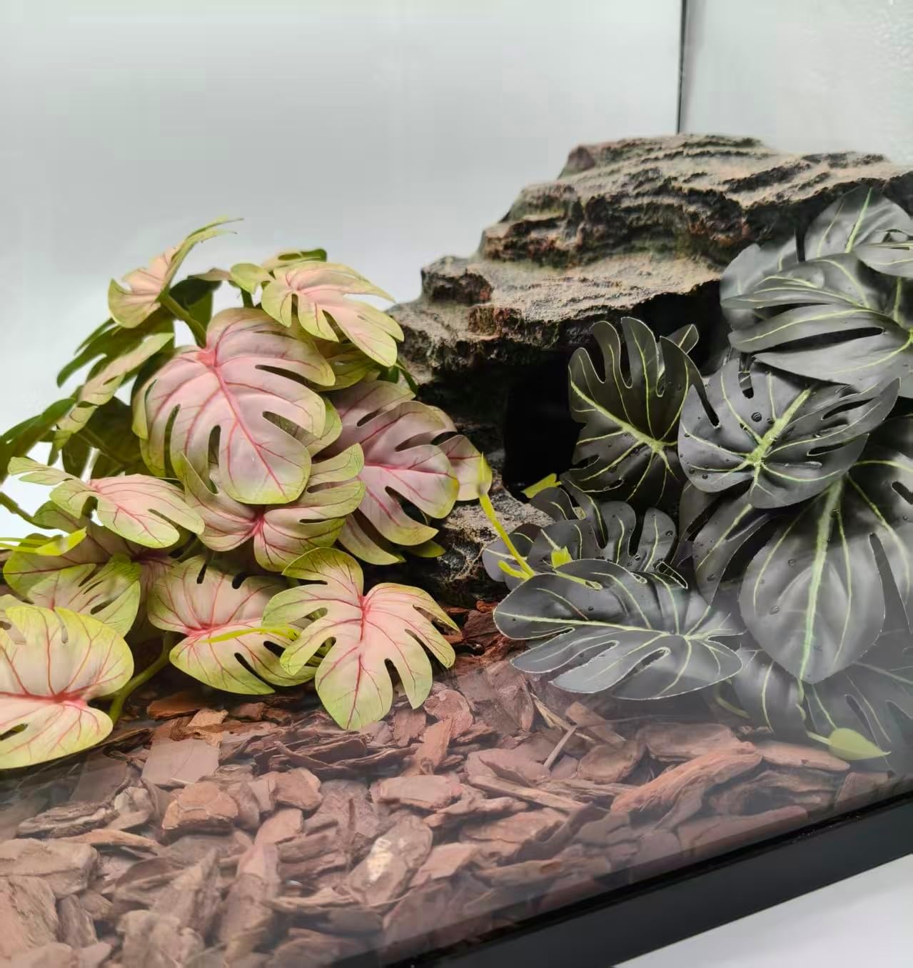 Woyrise brand reptile tank accessory setup