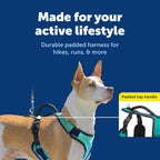 PetSafe EasySport dog harness top control handle detail
