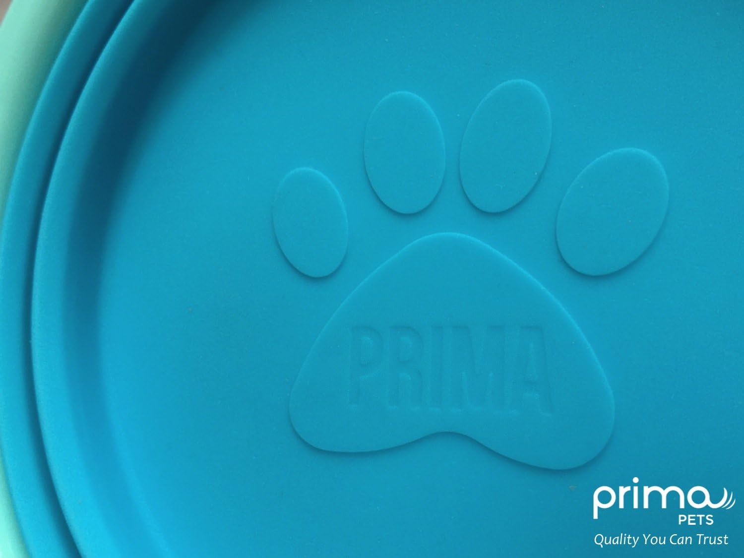 Top-rack dishwasher safe aqua silicone pet feeding bowl top view