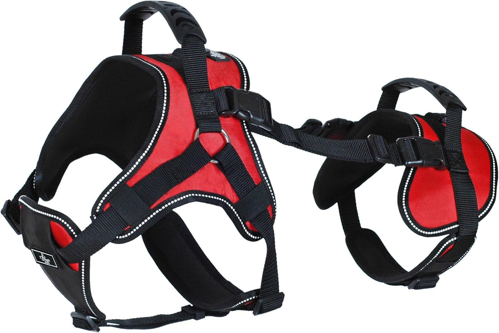 Senior dog wearing Doggie Stylz full-body support lifting harness