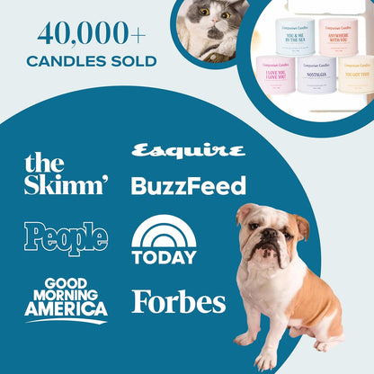 Companion Candles pet-friendly wax blend close up