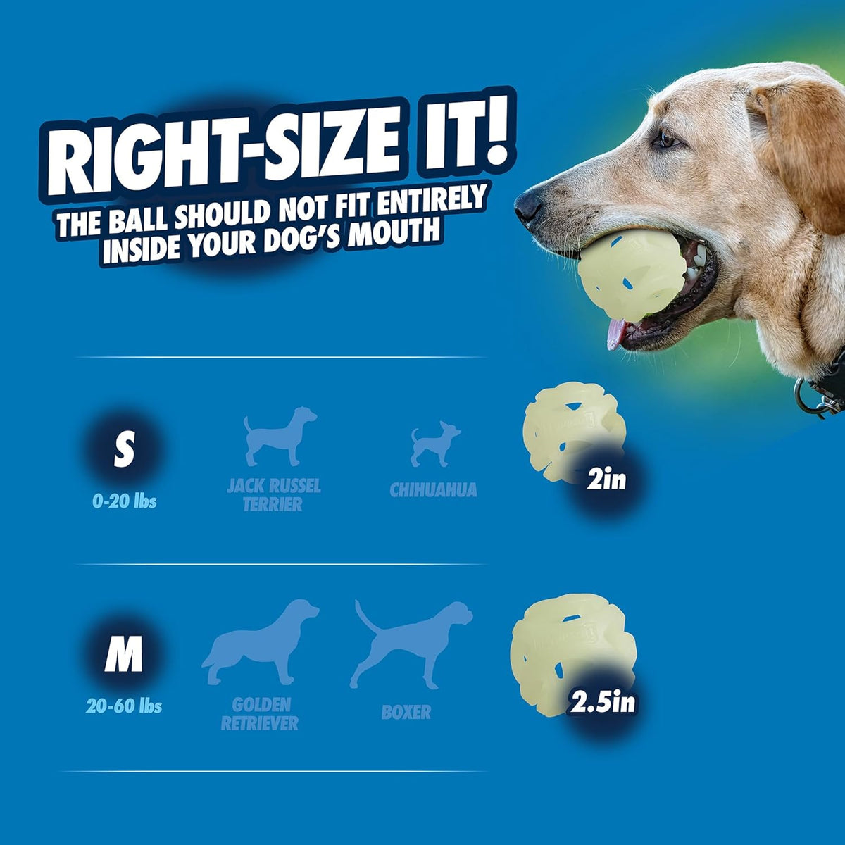 Side view of medium Chuckit! fetch ball