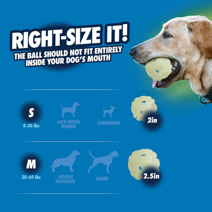 Side view of medium Chuckit! fetch ball