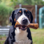 Nature's Logic authentic healthy pet chew imported by Rudra Retails