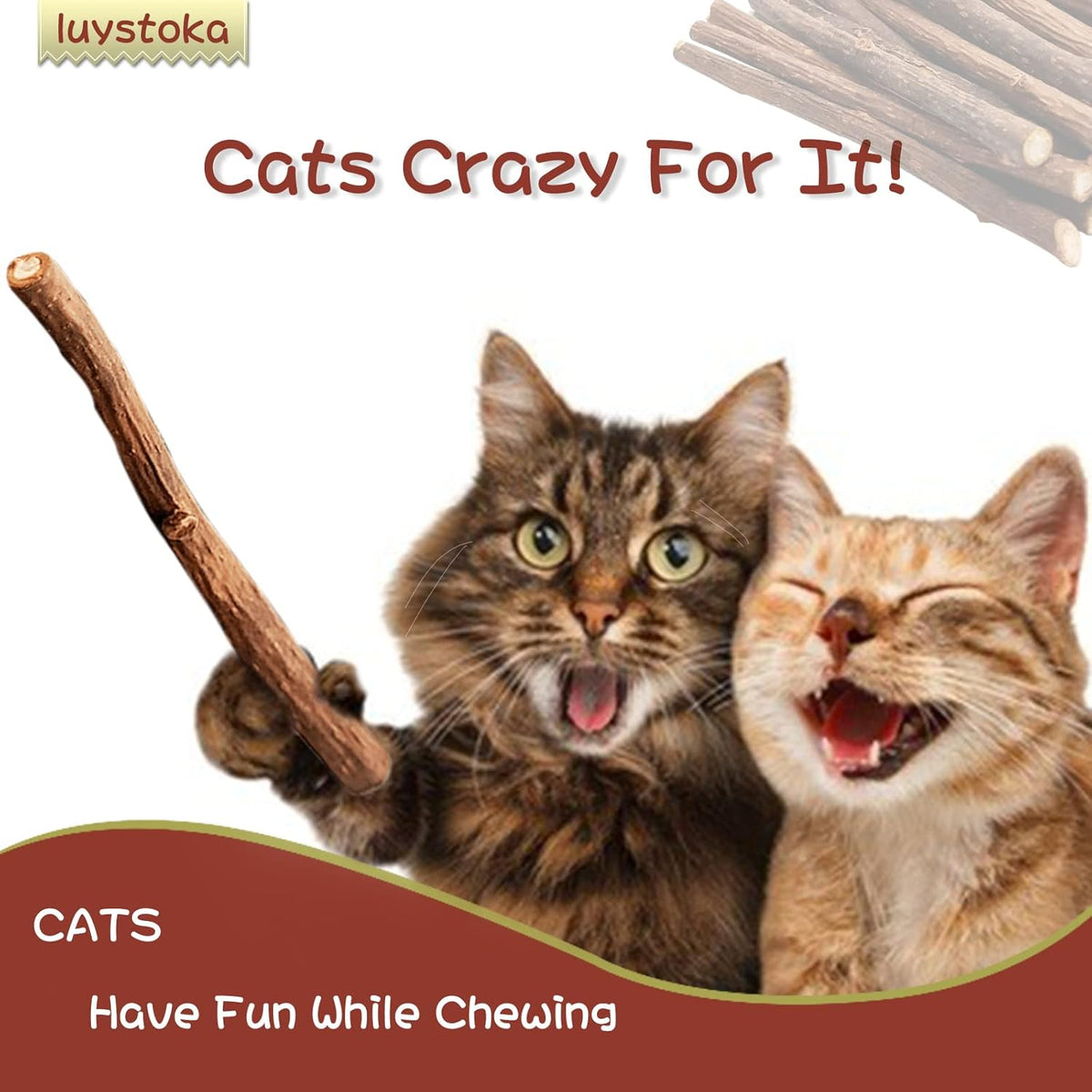 Cat playing with Luystoka silvervine stick indoor toy