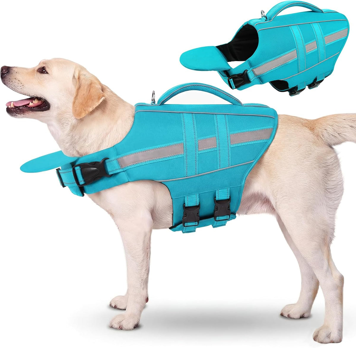 KAMA BRIDAL dog life jacket turquoise front view on a large dog swimming in a pool