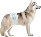 BV Dog Diapers Male Small (Waist 12-19in) Super Absorbent - 50 Count Disposable - Doggie Diapers with Wetness Indicator - Adjustable Male Dog Wraps - Ideal for Incontinence/Training - Image 10