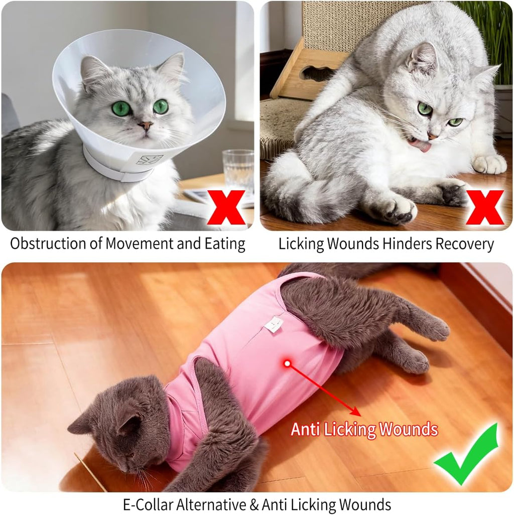 Back view of Heywean cat surgery suit showing secure closures