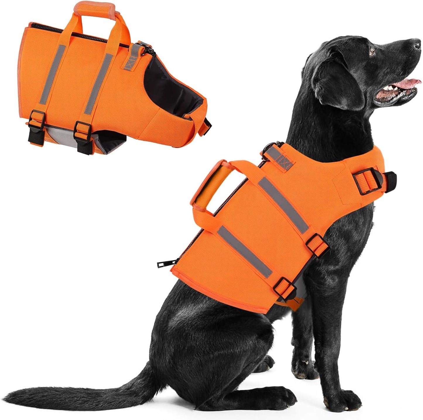 Queenmore Dog Life Jacket, Large Dog Life Vest, High Floating Dog Life Vest for Swimming, Adjustable Pet Lifesaver for Boating, Water Vest for Large Breed with Back Zip, Rescue Handle, Hook (Blue L) - Image 9