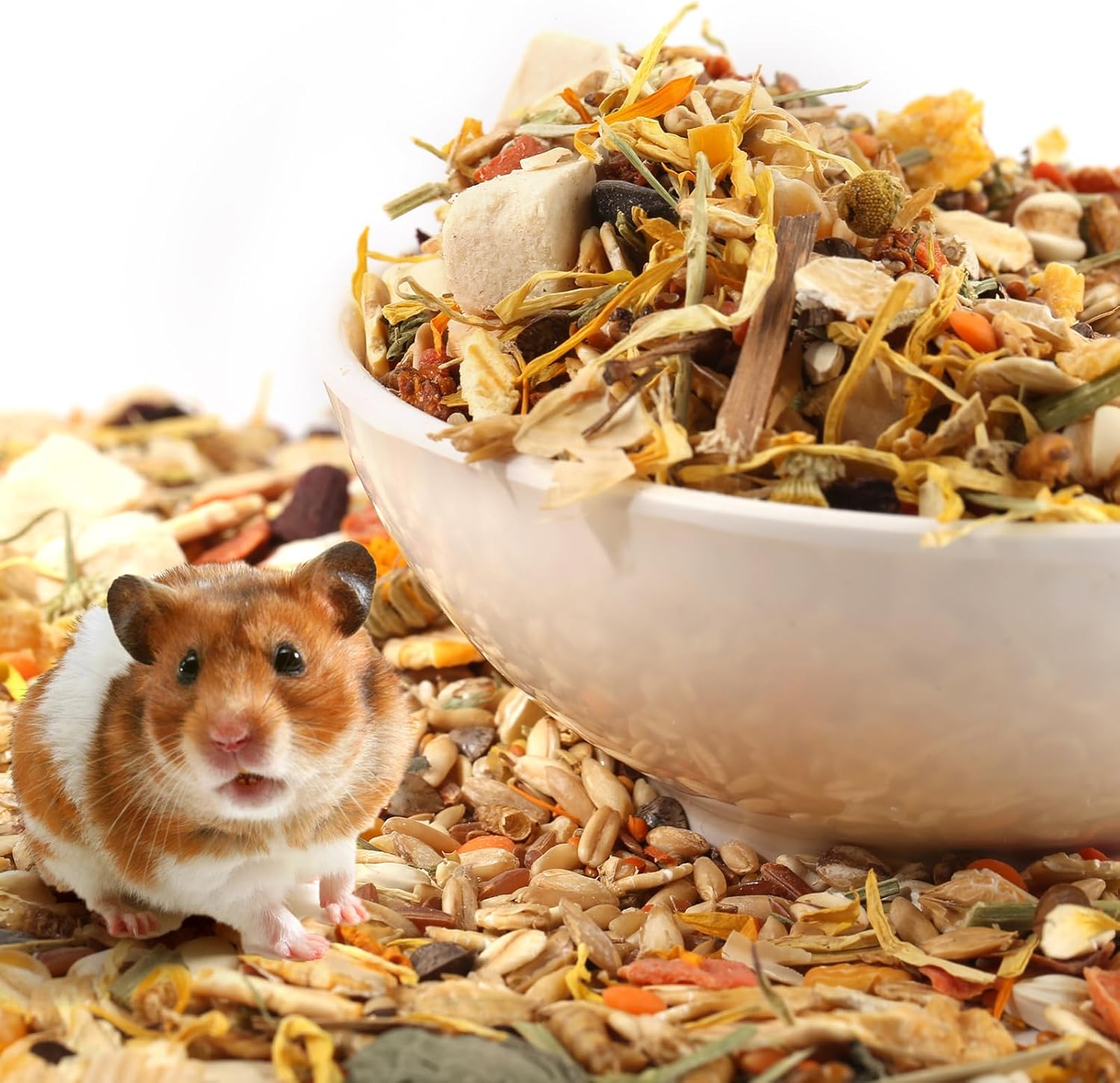 Close up view of the crunchy seeds and grains inside Abizoo pet treat mix.