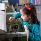 SunGrow fish feeding ring in use within a freshwater community tank