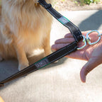 Caldwell's Pet Supply Co. heavy-duty double dog walking coupler highlighting the rotating swivel hook.