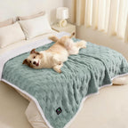 Luciphia waterproof dog blanket front view sage green color on a modern couch.