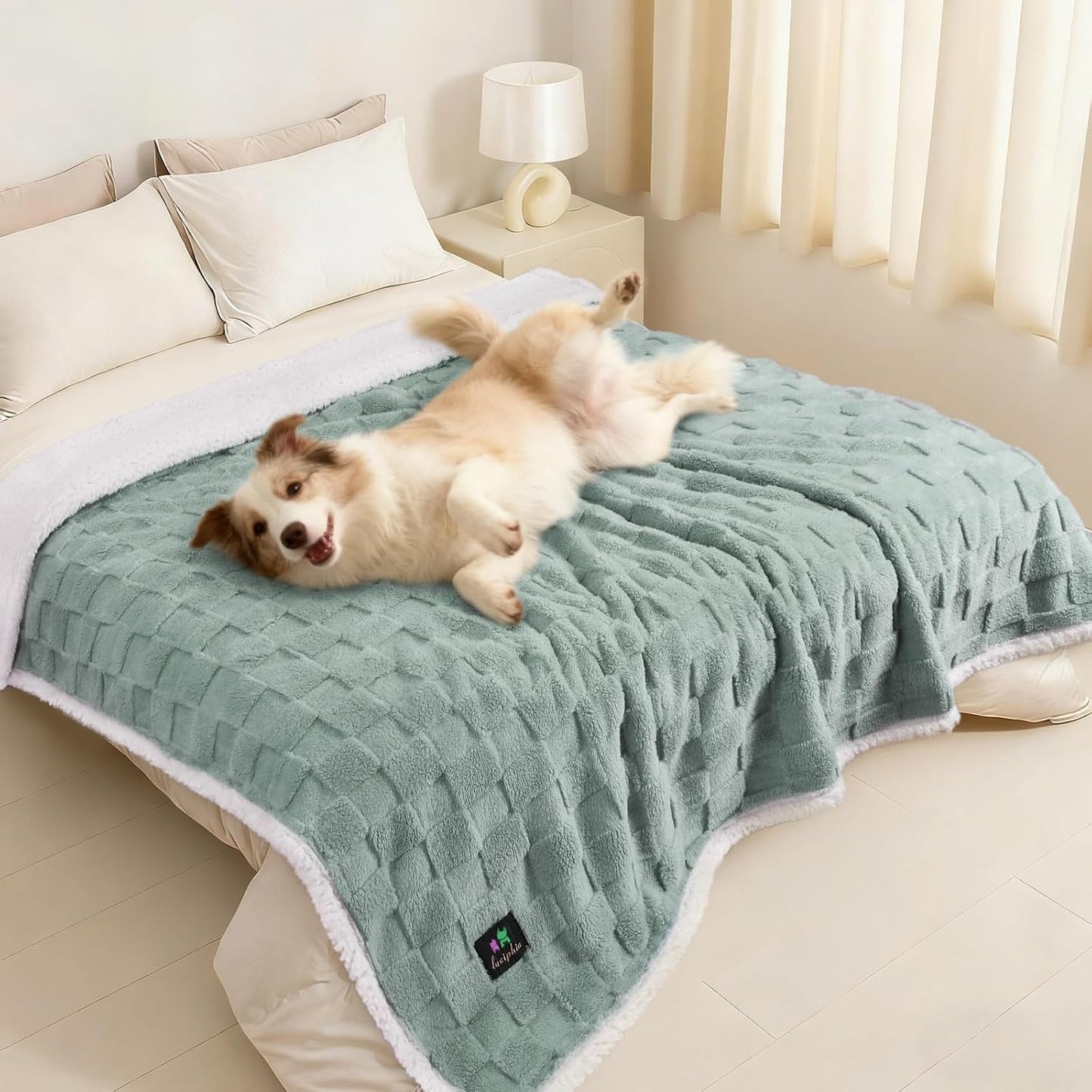 Luciphia waterproof dog blanket front view sage green color on a modern couch.
