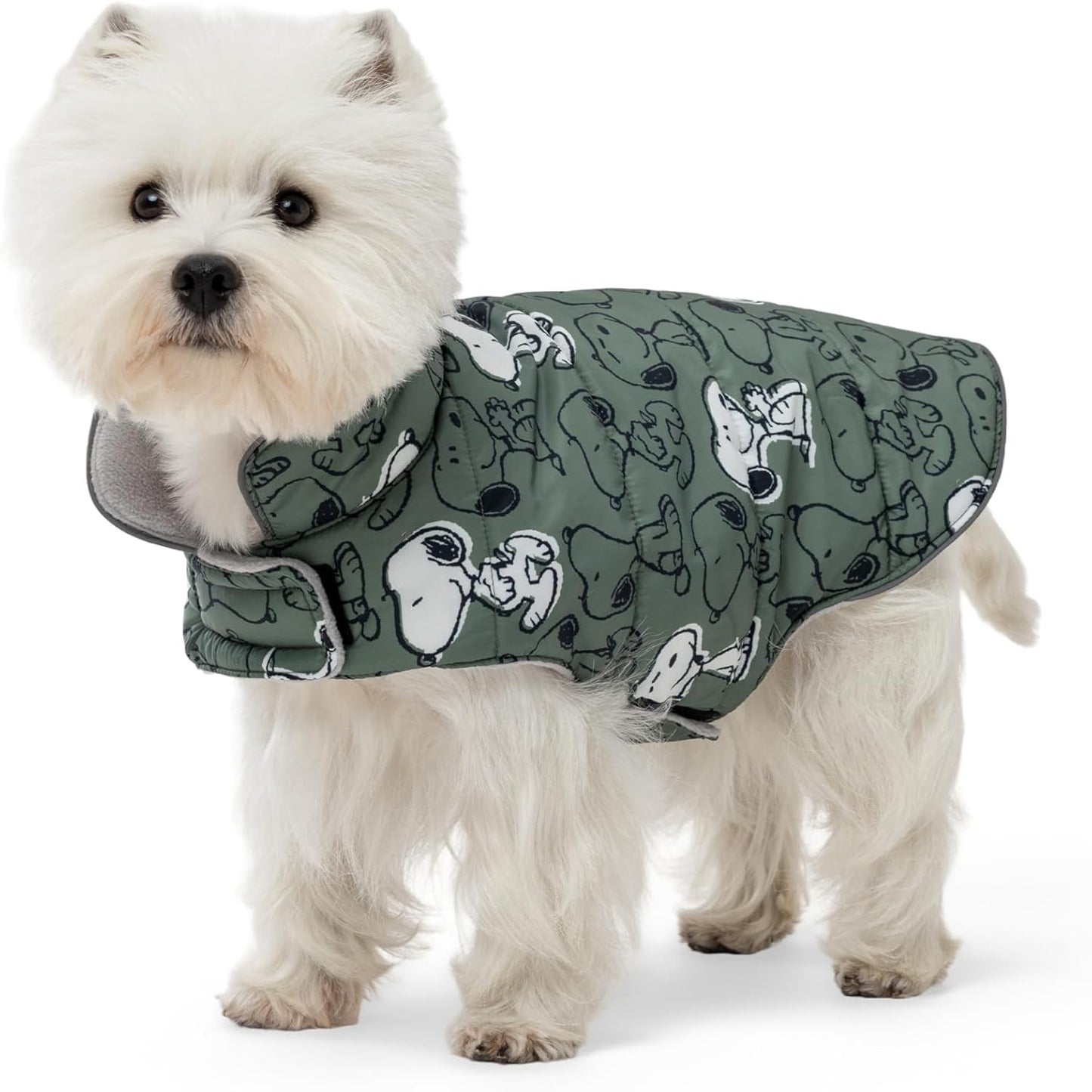 Berkshire Blanket Peanuts microfleece dog coat front view showcasing dark sage color and Snoopy print