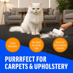 ChomChom Roller and Rake cleaning dog fur from car seat upholstery