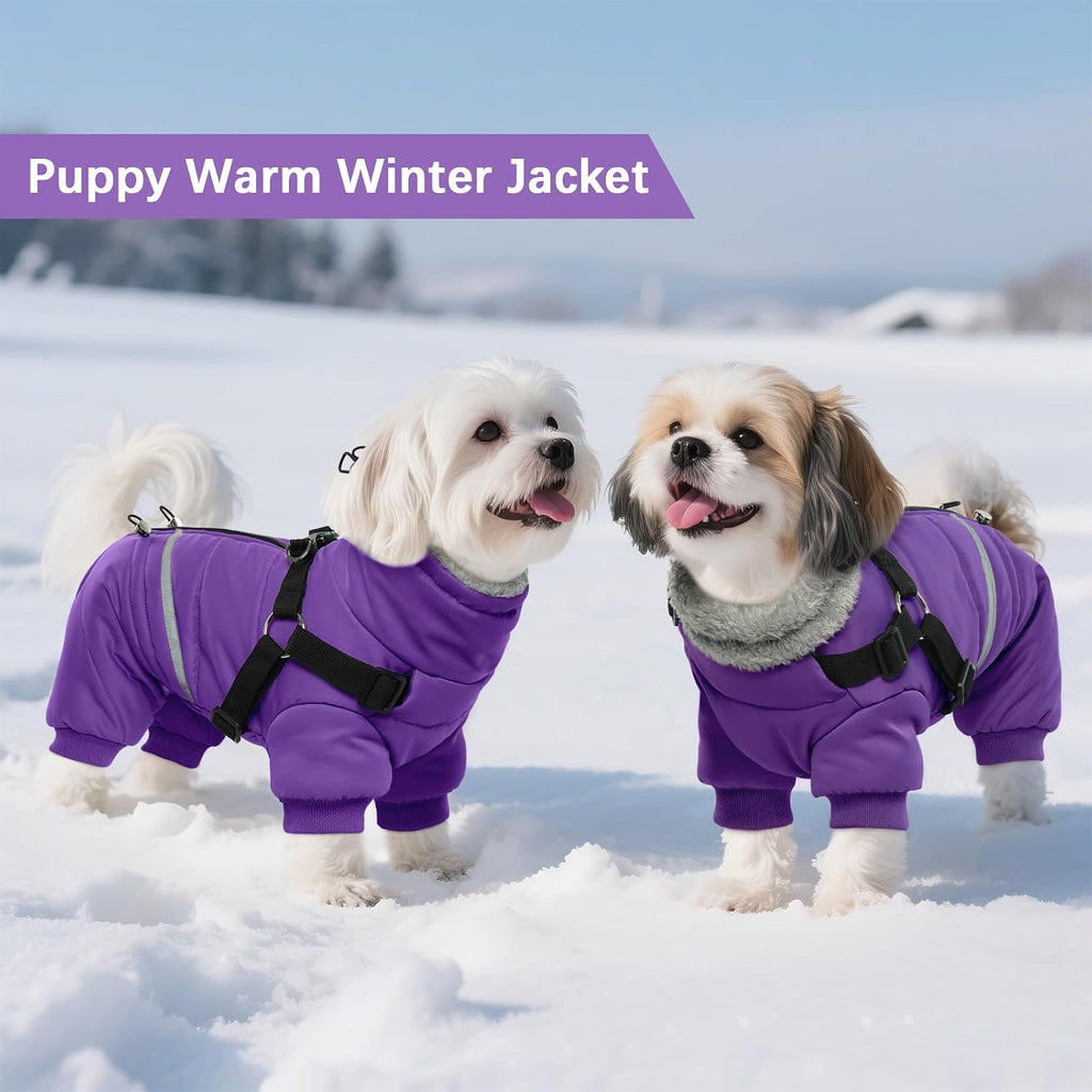 BRKURLEG dog jacket belly buckle closure view