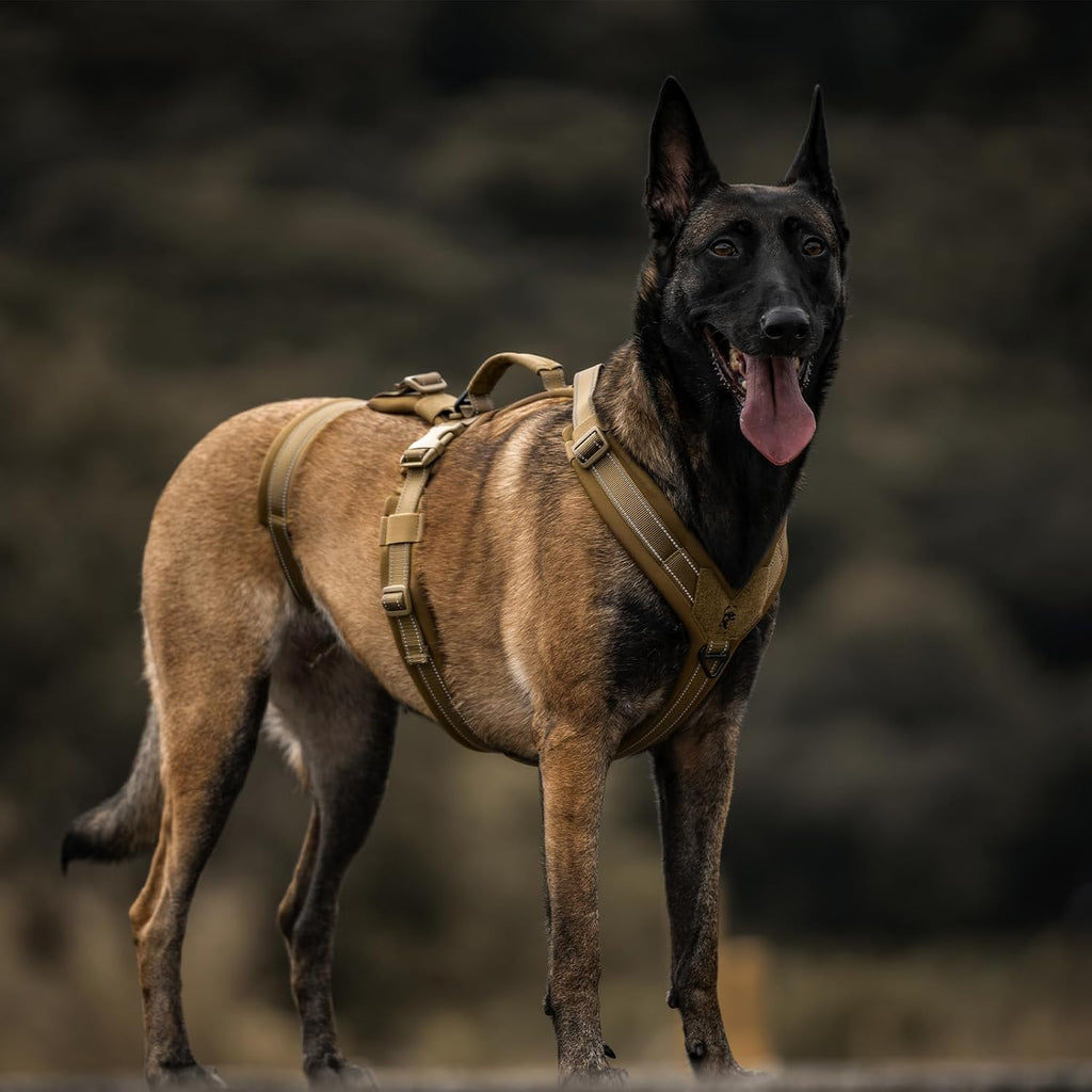 Adjustable buckle system on OneTigris tactical dog gear