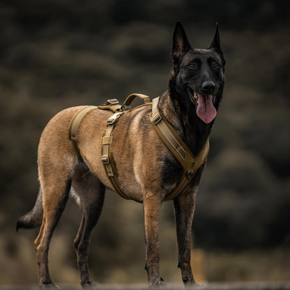 Adjustable buckle system on OneTigris tactical dog gear