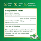 IBgard daily digestive support supplement overview
