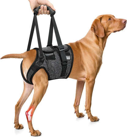 SlowTon dog lift harness adjustable hind leg support for large dogs