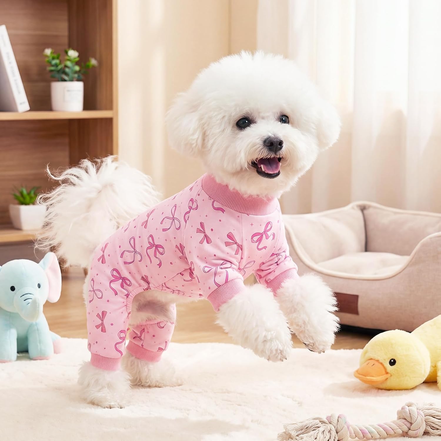 Ruirichfun small breed puppy pajamas sizing comparison view