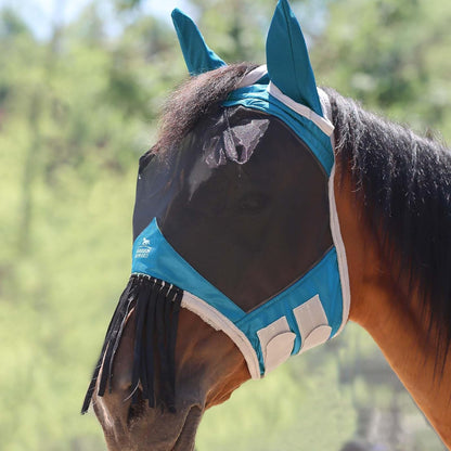 Horse wearing protective fly mask in outdoor setting