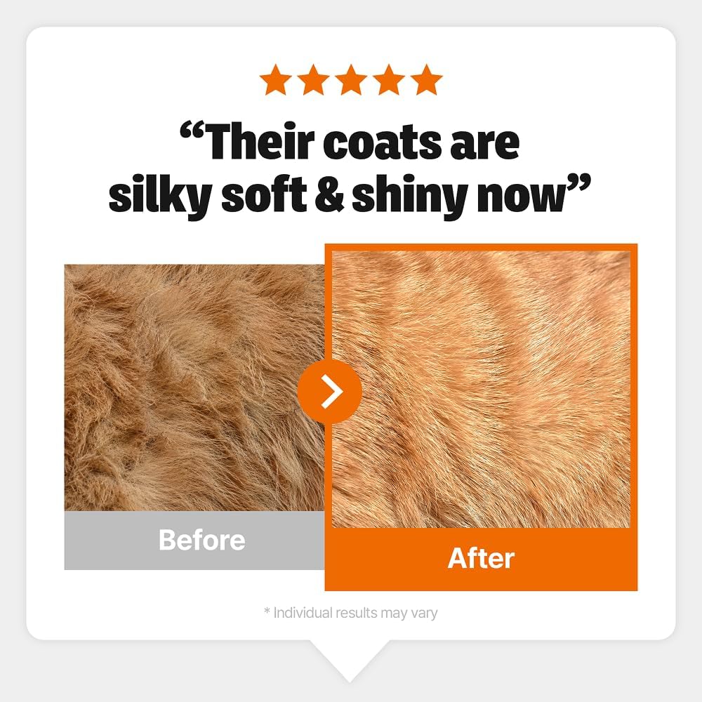 Imported EPA and DHA salmon oil for cats with itchy skin