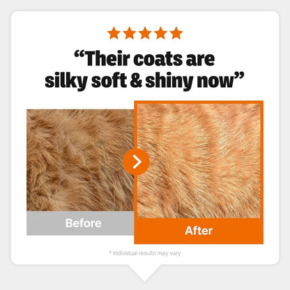 Imported EPA and DHA salmon oil for cats with itchy skin