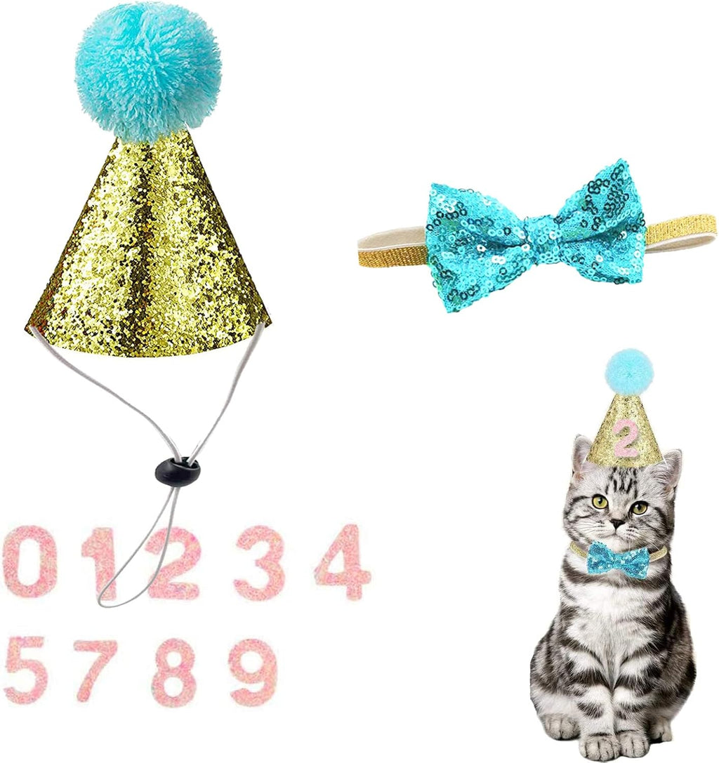 Packaging contents of Arogheiz pet costume set