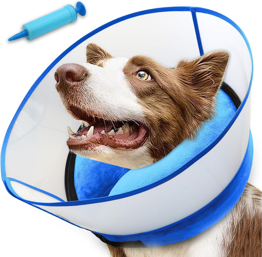 Comfortable dog sleeping while wearing NoarWin collar