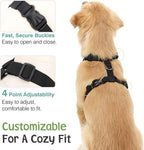 Close up of VavoPaw padded mesh dog harness material