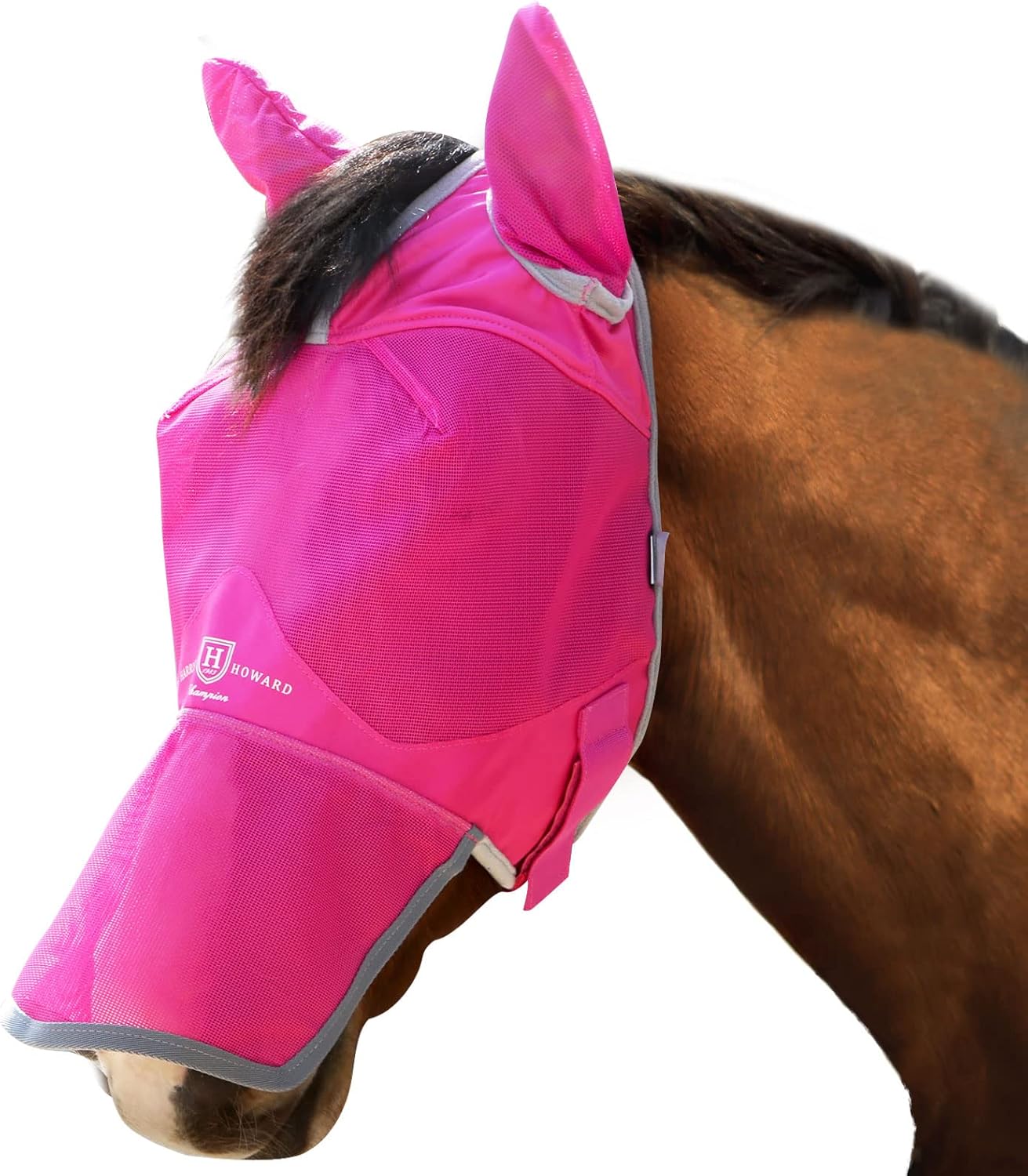 Harrison Howard fly mask forelock opening detail