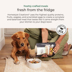 Nutritious gently cooked dog food with poultry and cranberries close up
