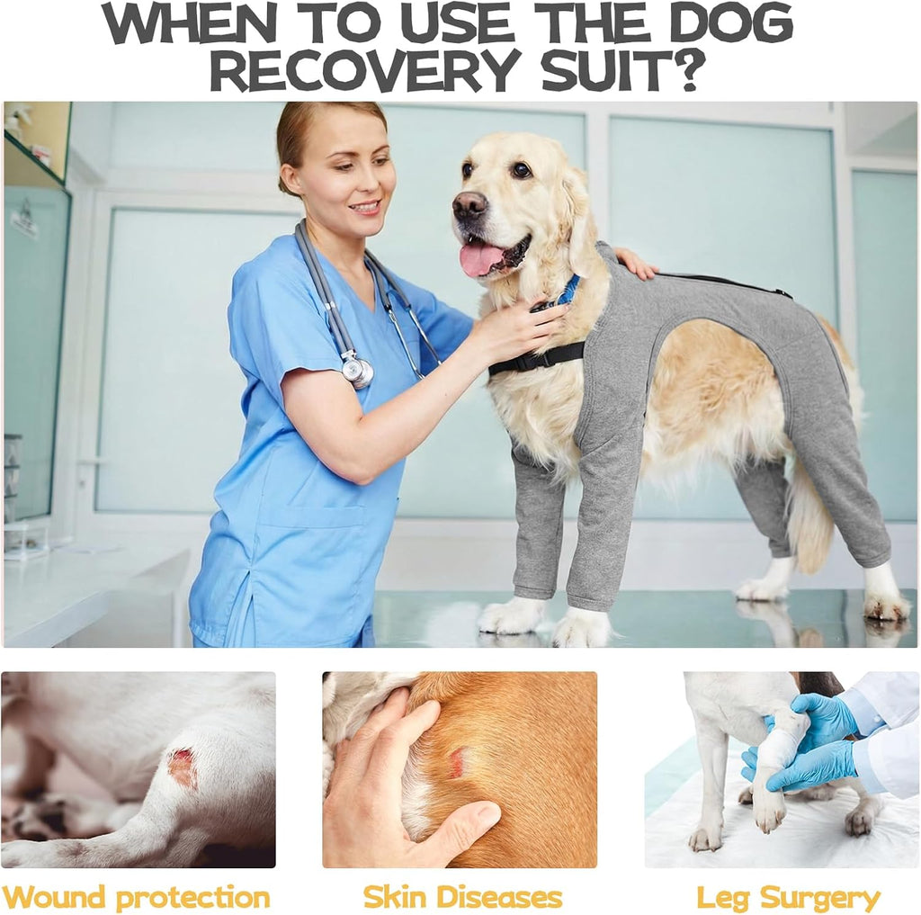 Dog recovery suit showing belly opening for hygiene