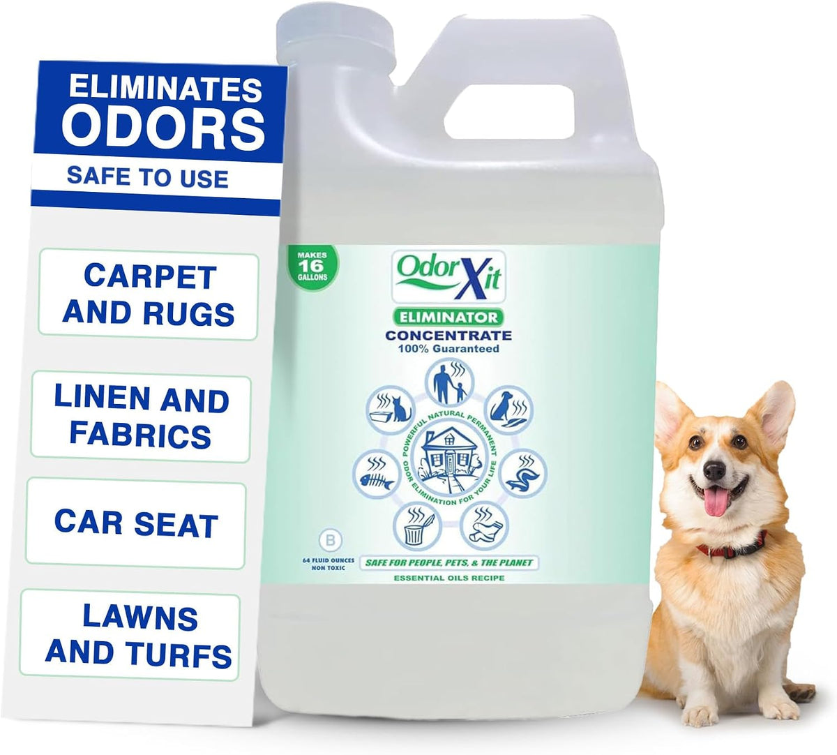 Pet Urine Odor Eliminator Spray, Ideal for Cat, Dog Poo and Urine Smell, Versatile & Natural Odor Neutralizer for Home and Outdoor Use, Ready to Use, 16oz - Image 9