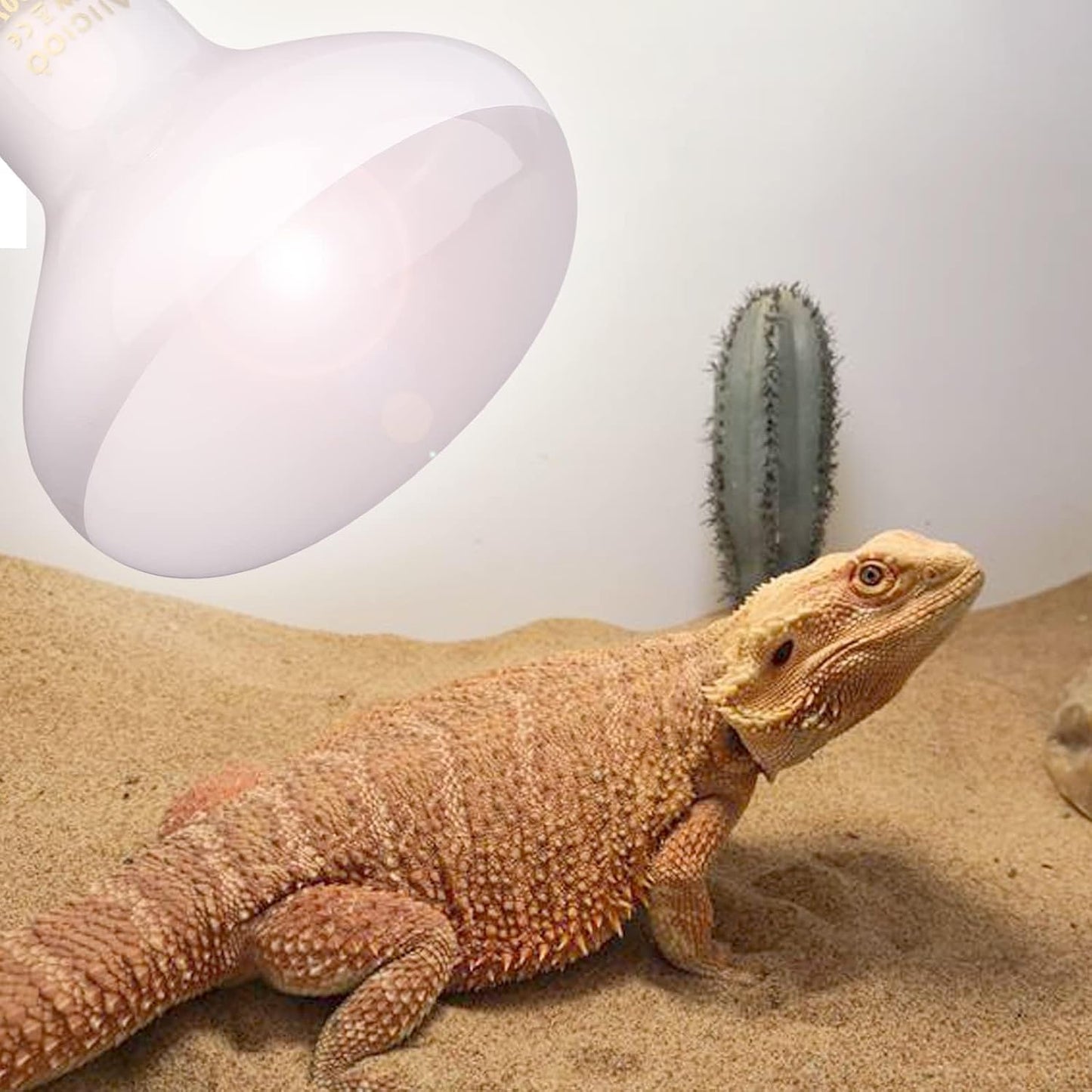 Aiicioo daylight simulation heat bulb for turtle and lizard enclosures