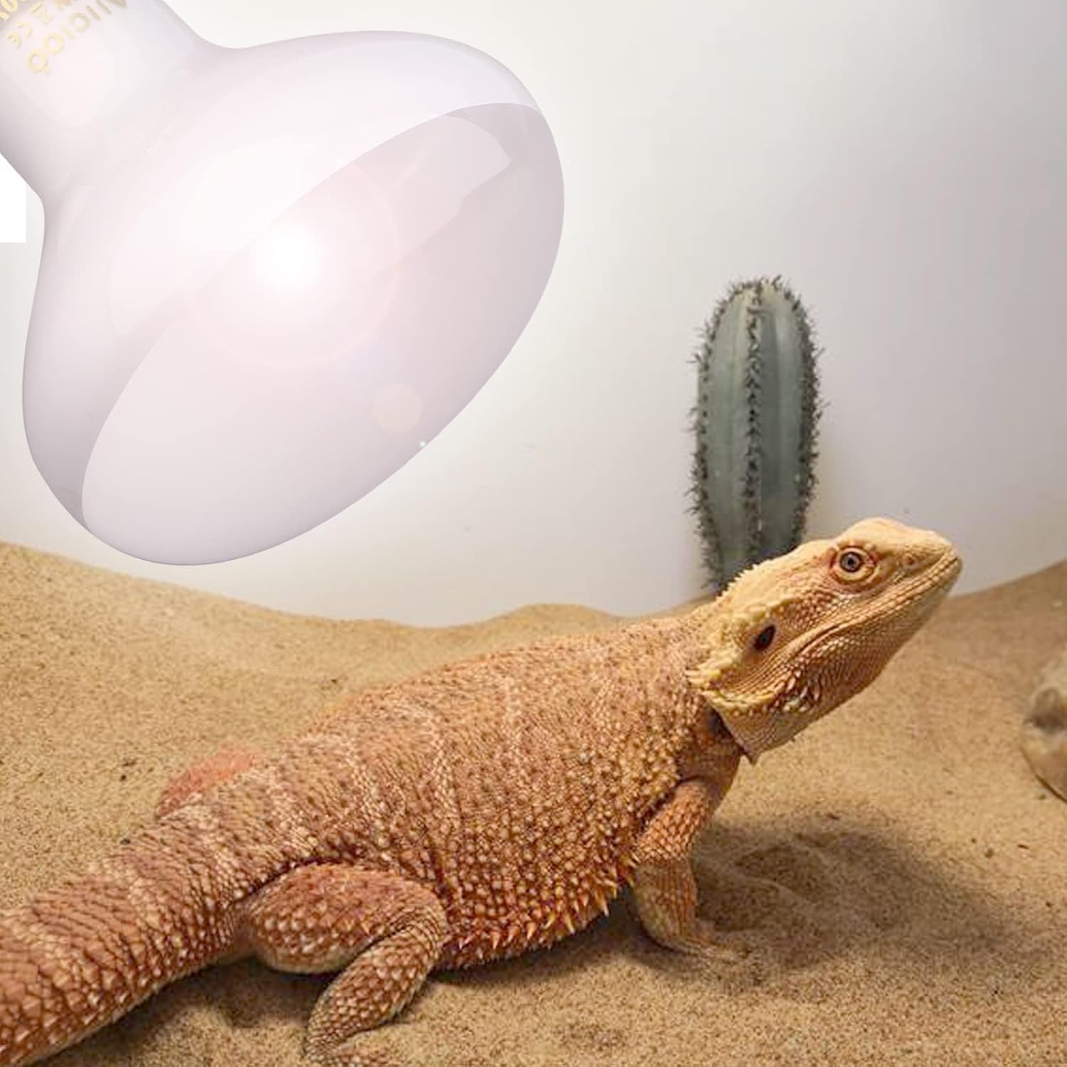 Aiicioo daylight simulation heat bulb for turtle and lizard enclosures