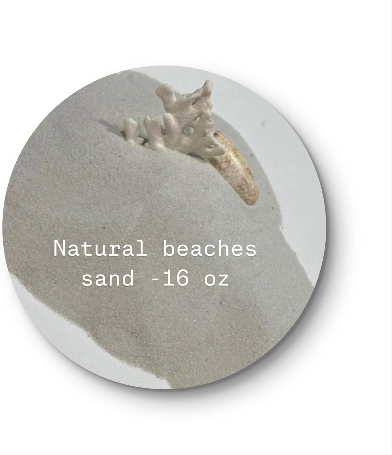 Hand holding clean natural Florida beach sand